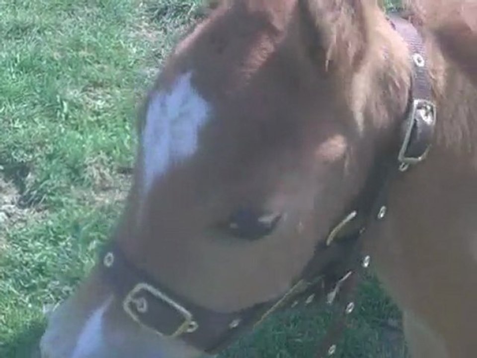 21 éme jours de vie de spirit