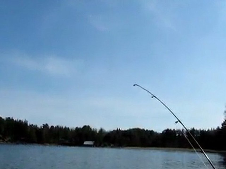 WHITEFISH FAKO & DOGAN AVI 24.04.2010