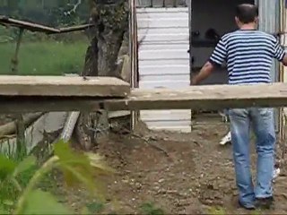 Makedonya Dönek Güvercini