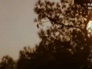 Socrate naissance de la philosophie 2/3