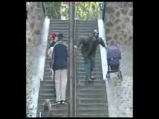 PASCAL SELLEM CASCADEUR