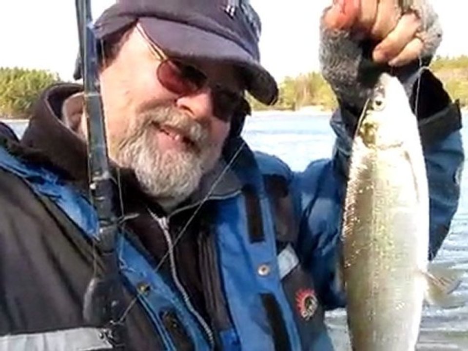 FAKO & DOGAN Whutefish avimiz 24.4.2010