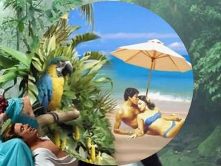 Haimat -  Blue Romantic