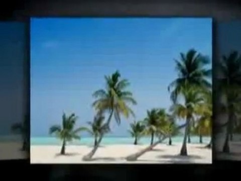 Affordable Vacations at Williams Travel and Cruises