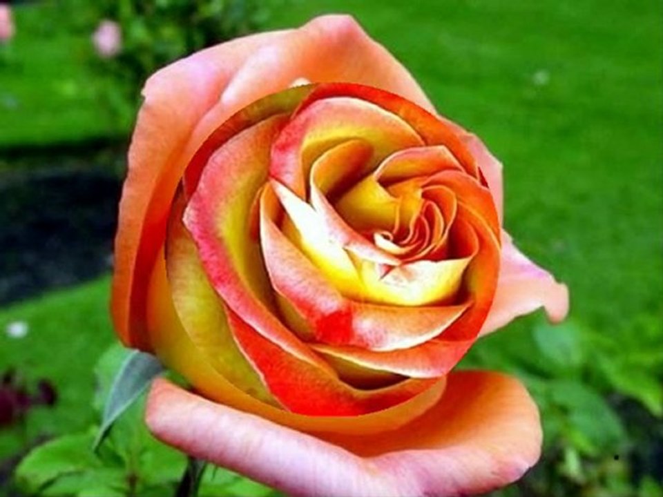 WALC MIŁOŚCI --40 Lecie - - ŻYCZENIA DLA   PRZYJACIÓŁ