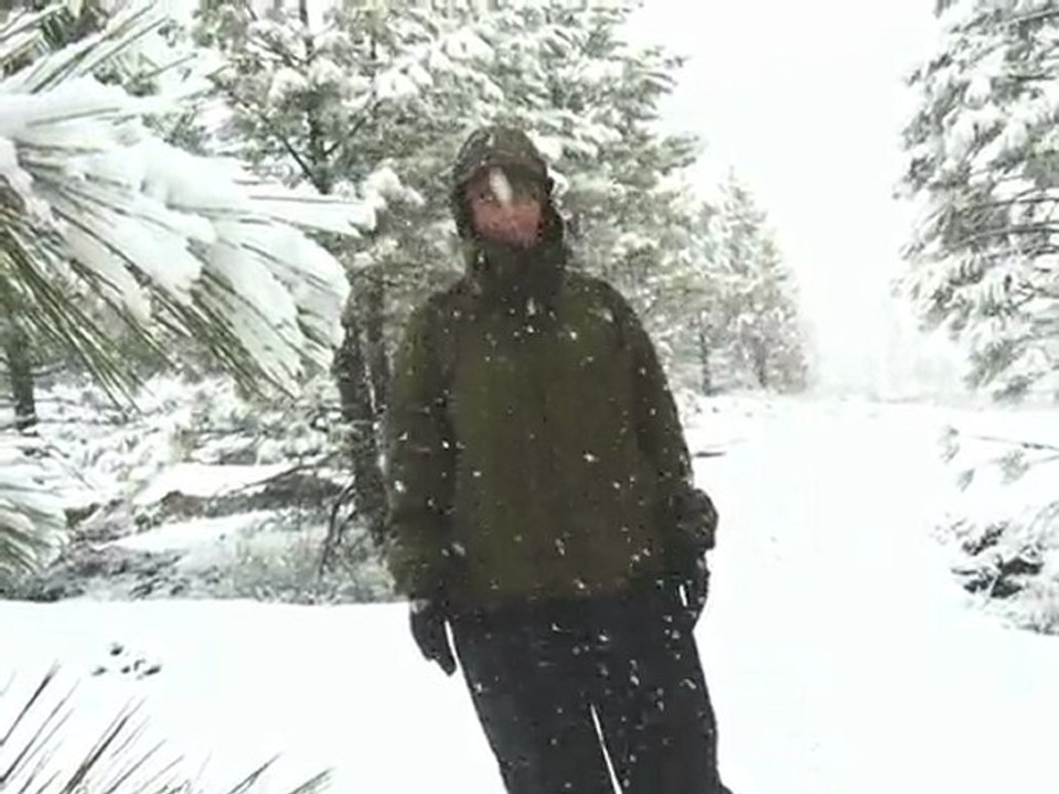 Snowshow Erin