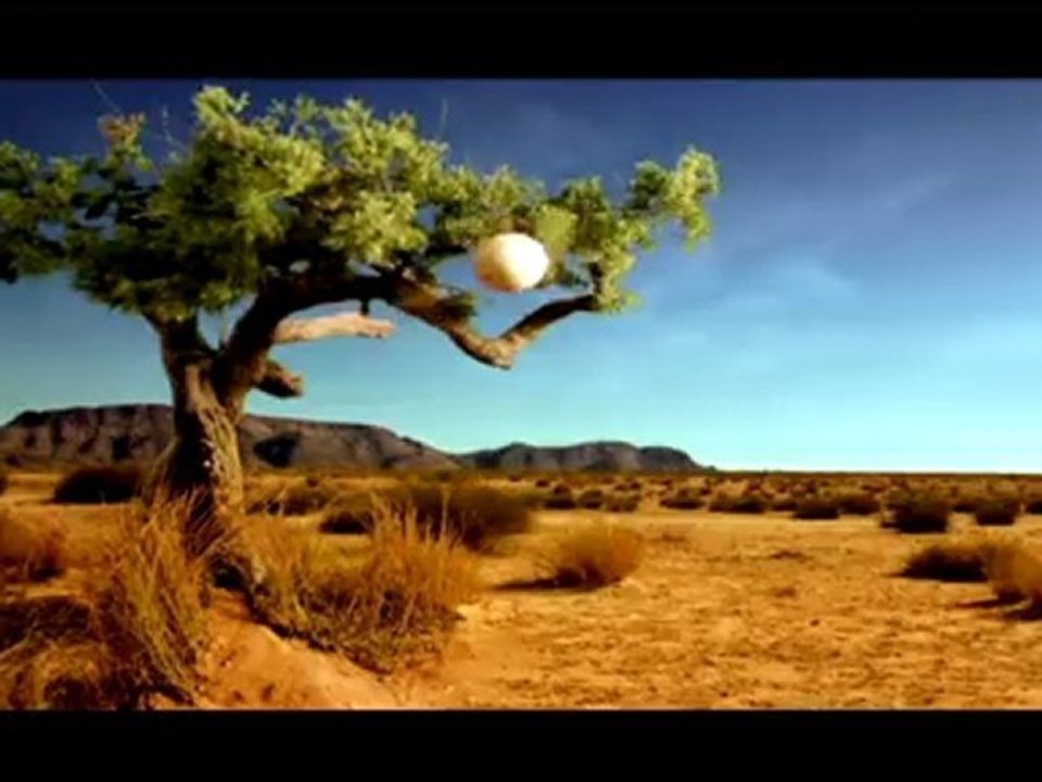 Messi : World Cup 2010 Pepsi Ad