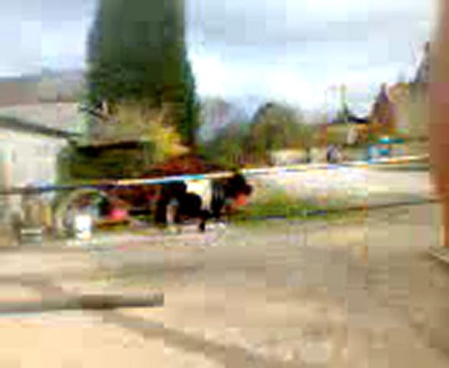 les actions des chevaux