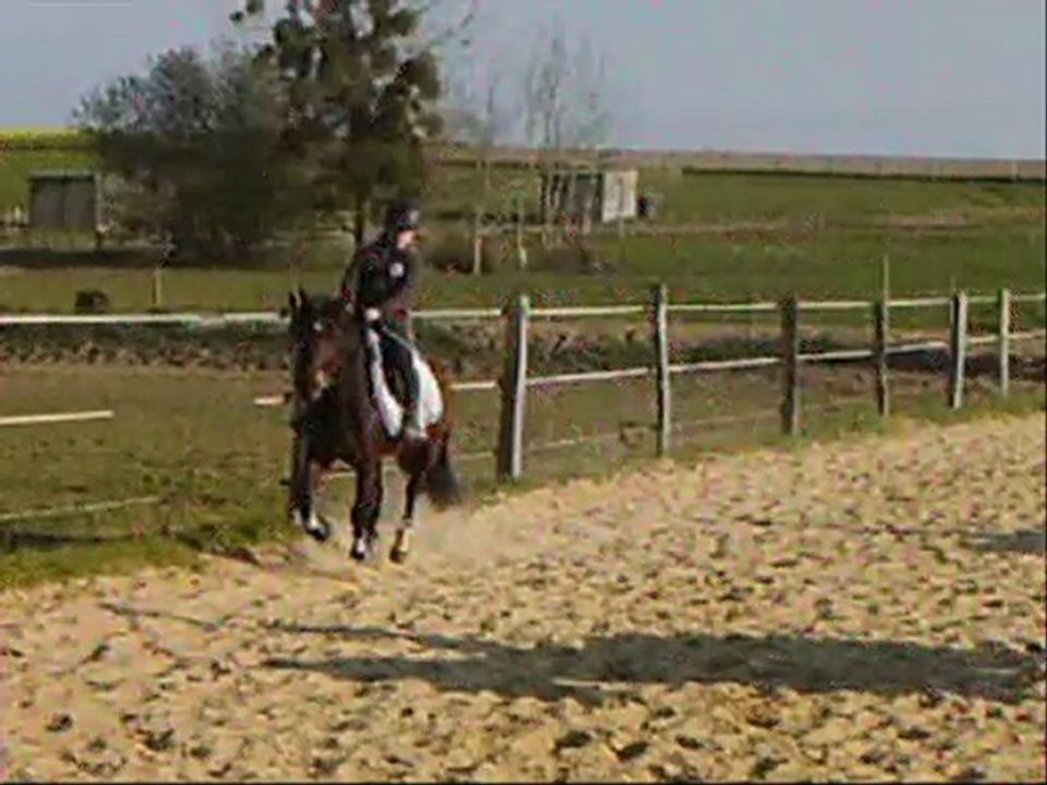 cour du 24/04/2010