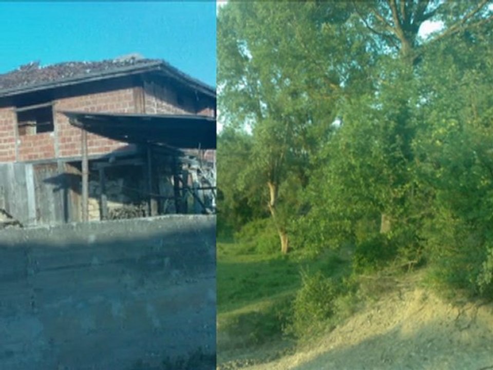cumatabakli koyu