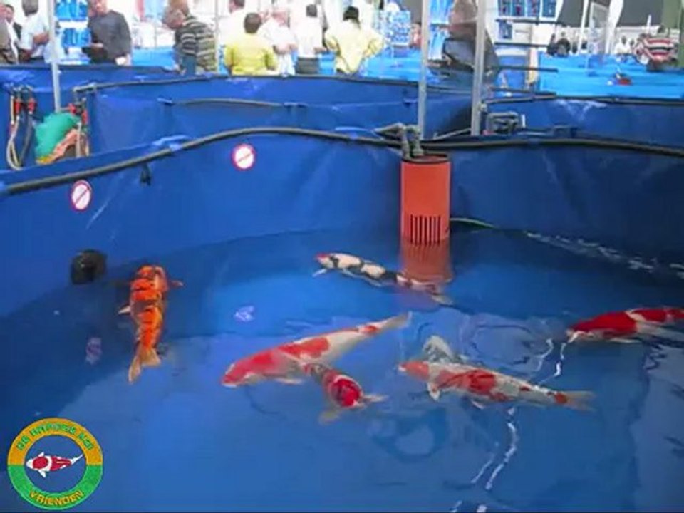 Interkoi 2010 deel 2