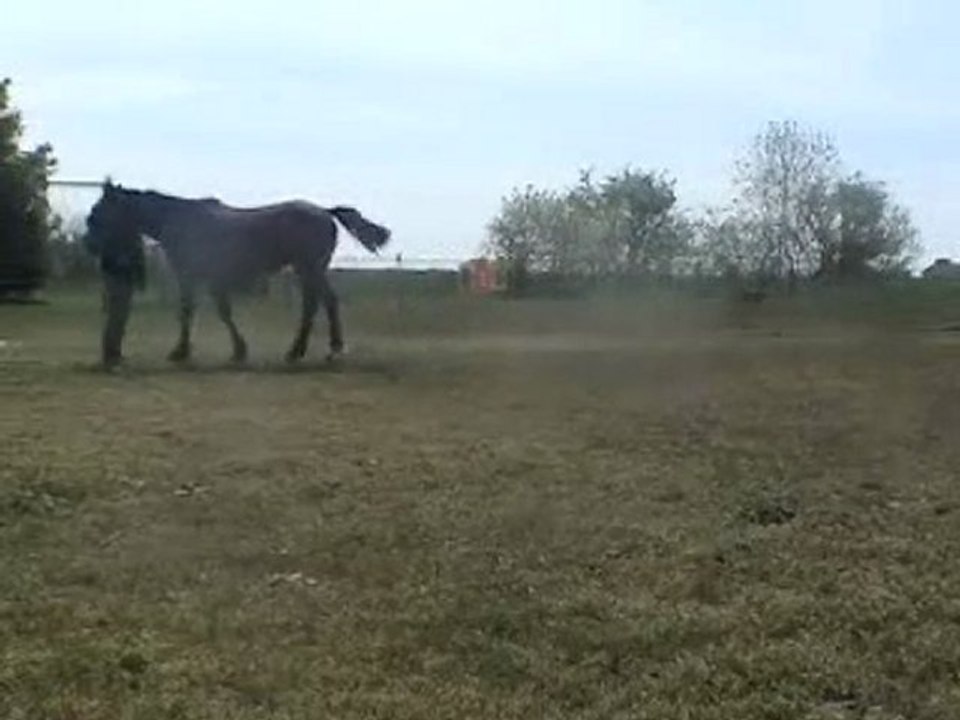 Xinou