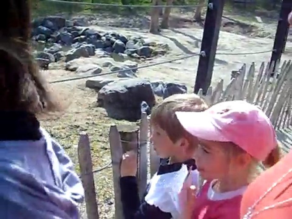 zoo les elephants