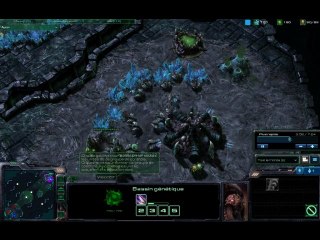 Starcraft 2 Beta - 2v2 Fastlings
