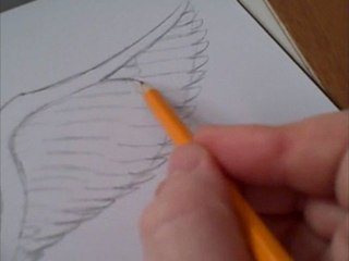 Draw An Angels Wing