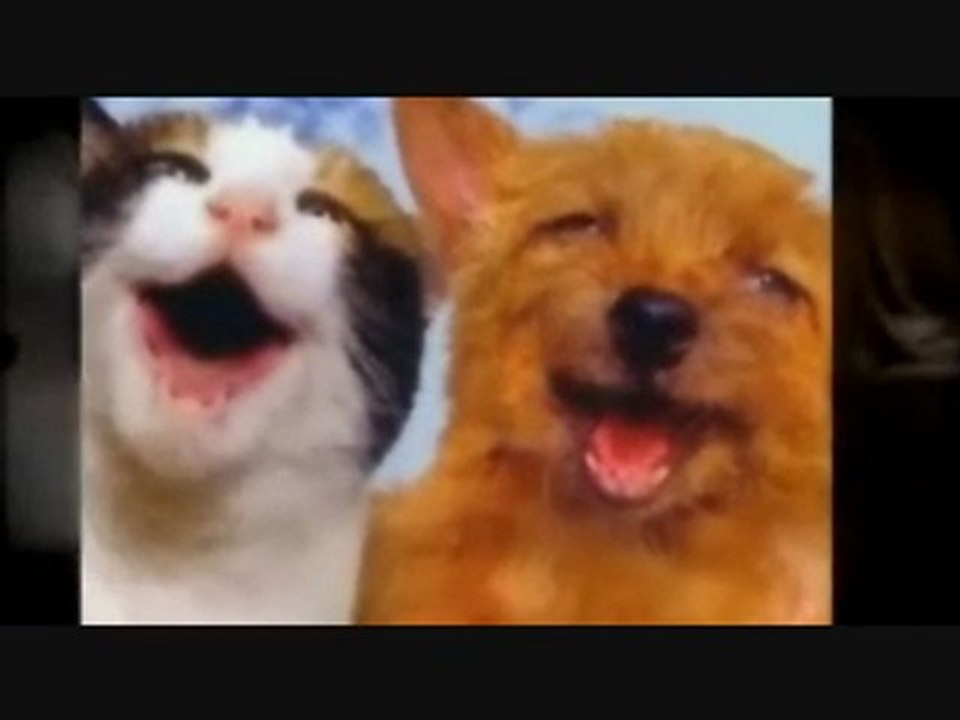 Looking for Passionate Pet Sitters in Chicago