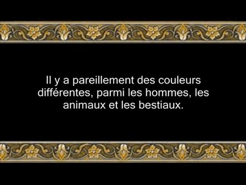 88 Le Créateur (par Salah Ibn Mouhammed Al-Boudeir)