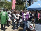 Le concours japonais où les sumos font pleurer les bébés