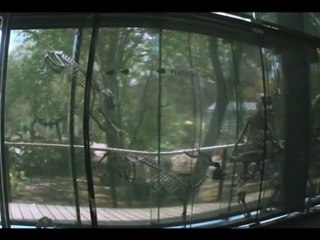 Museum-teaser-nuit-musee- iMovie