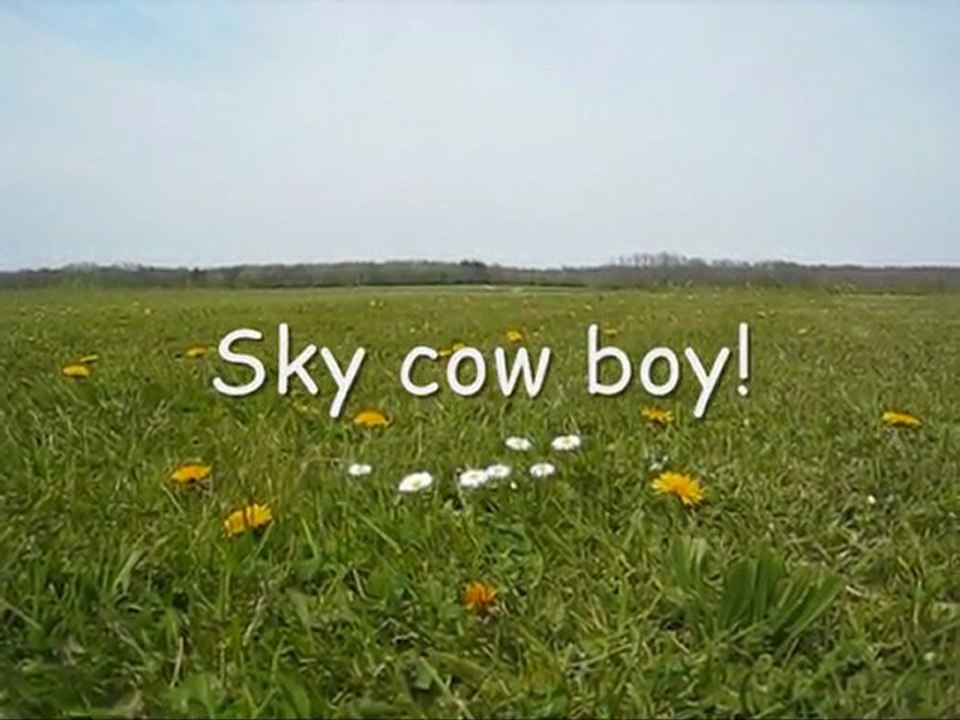 Sky cow boy!