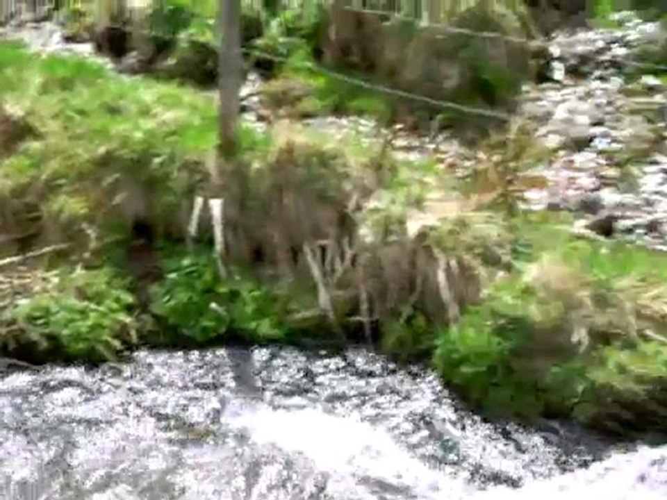 Vallée de Chaudefour avril 2010 -7575