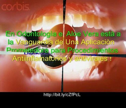 Beneficios Del Aloe Vera - Aloe Vera Tu Doctor Milagroso