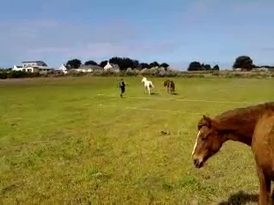 susu, krotte et tête de slip