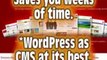 Wordpress - Blog Seo | Drupal Themes