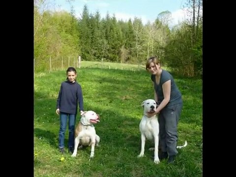 Au refuge des Amis des Bêtes à Aix les Bains