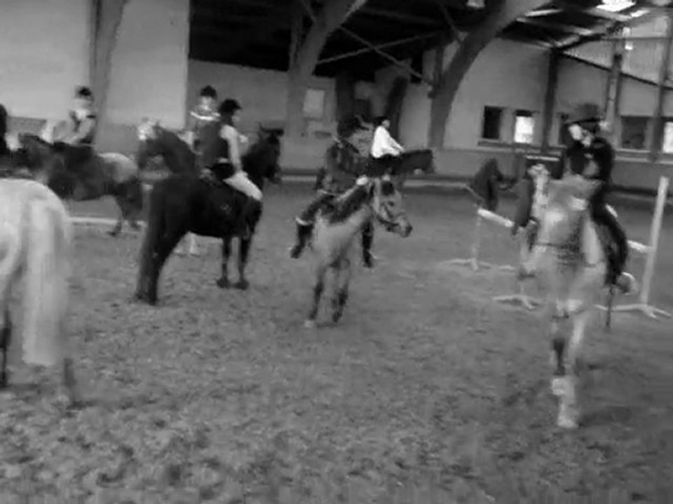 L'Equitation ♥