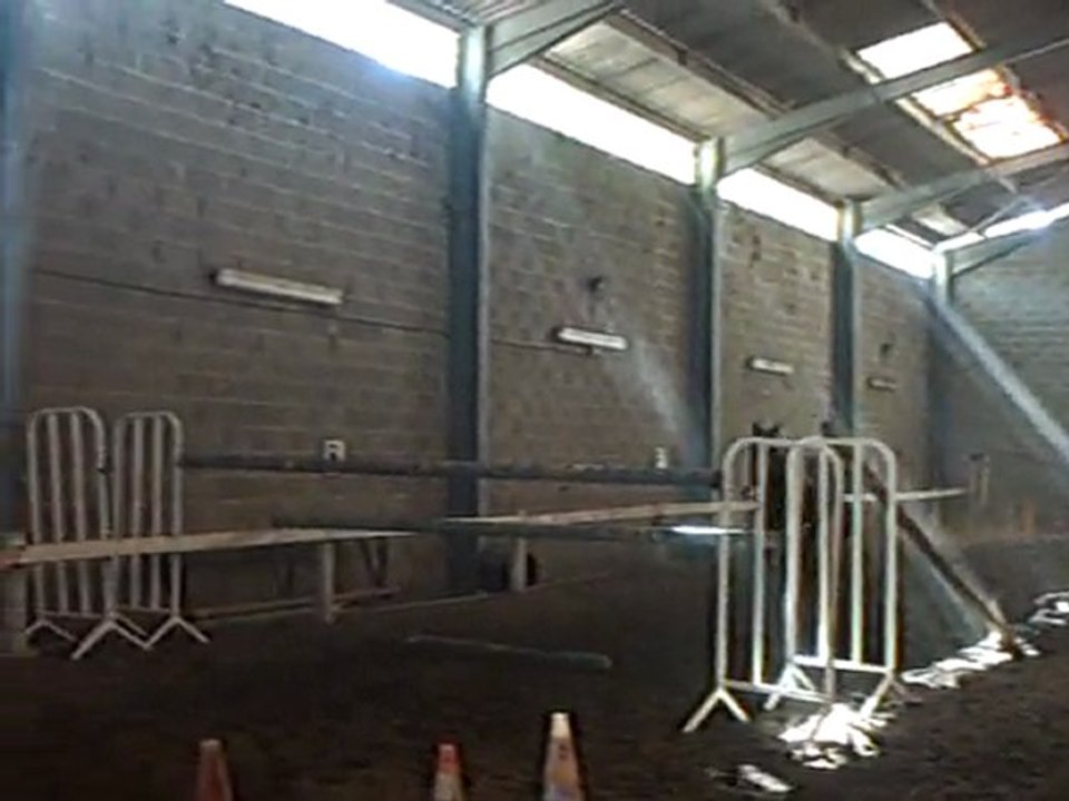 Queen de Pia saut en liberté novembre 2009 2