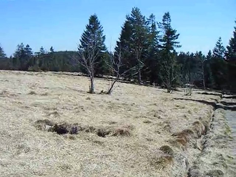 HOCHKOPF 1