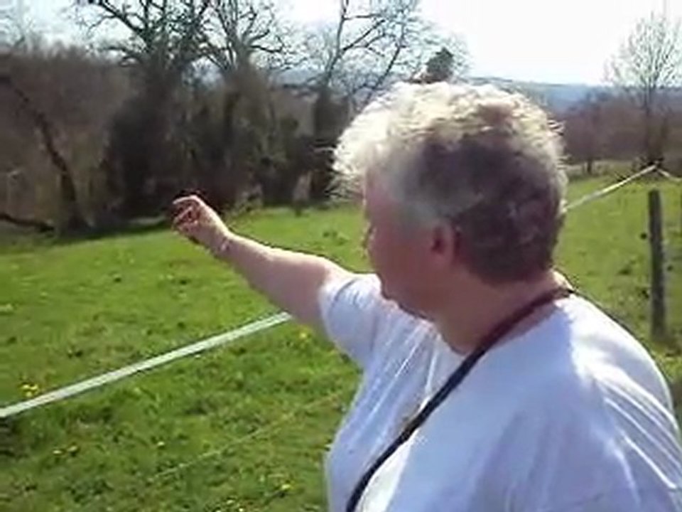 tatachatte parle aux ânes