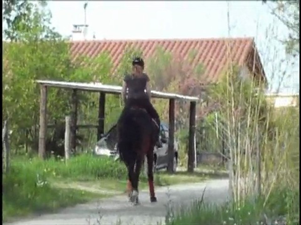 olten trot avril