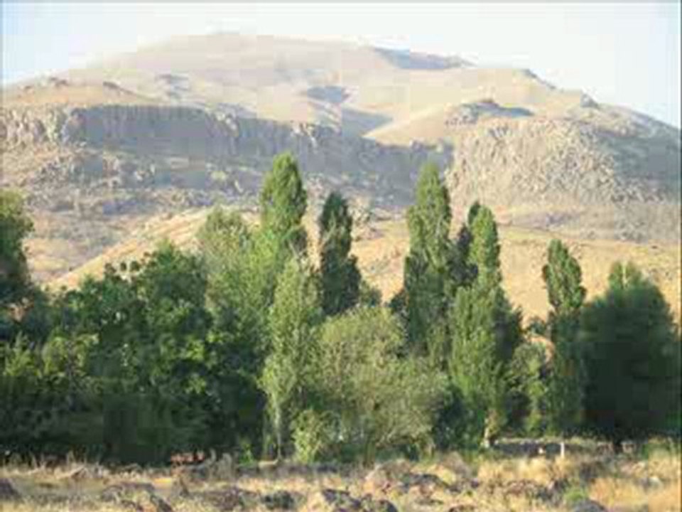 Heme Haci   Sitrana HEKIMO