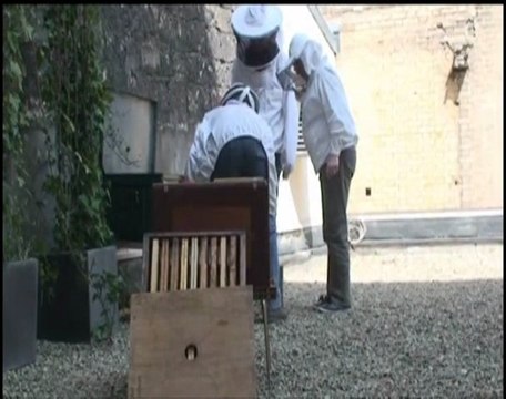 L'ouverture d'une ruche. Démonstration...
