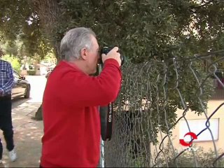 Las Lagunas de Ruidera nos muestran su esplendor