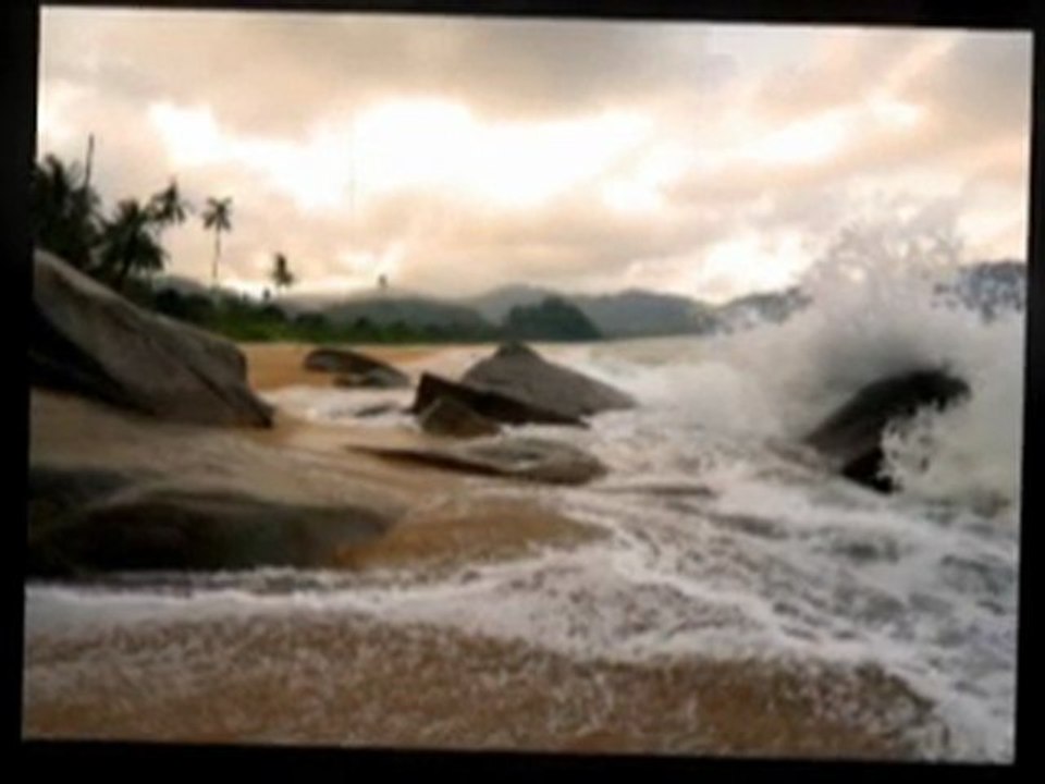 Affordable Wholesale Dropshippers And Money Making USA