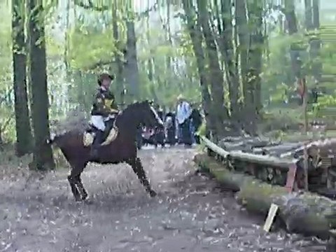 Cross Paolik C1p La Chapelle Montligeon