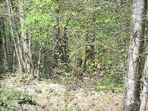 Cross Paolik C1p La Chapelle Montligeon