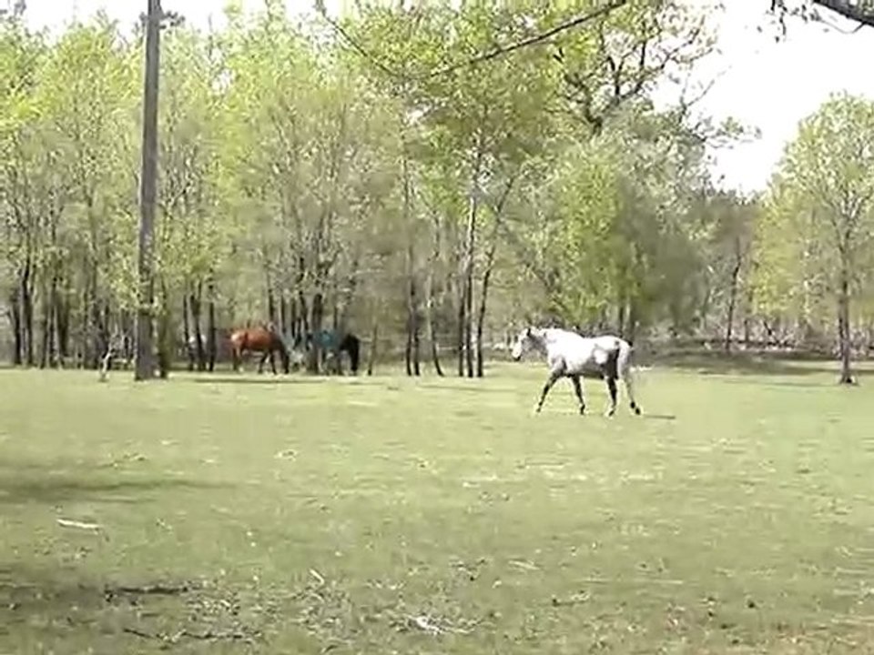 MOV05302 Intégration pré