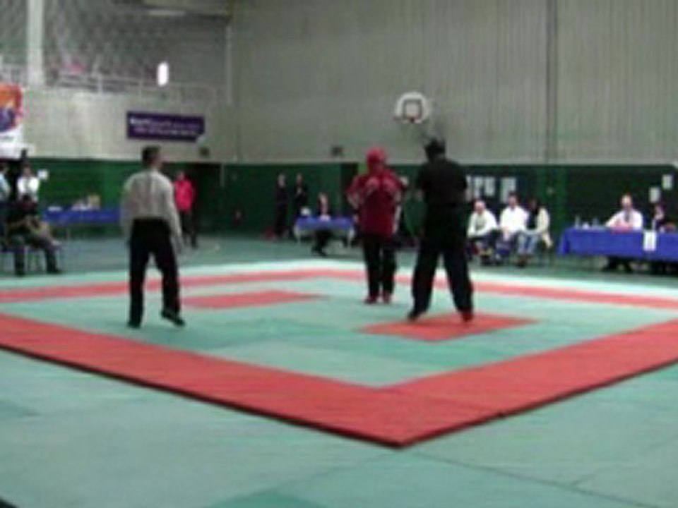 finale sanshou 2010 - 75kg