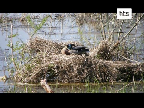 37 Emisja Piatek 23.04 cz 6