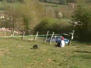 rallye de la suisse normande 2010