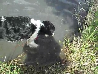 ça y est ! je nage enfin !!