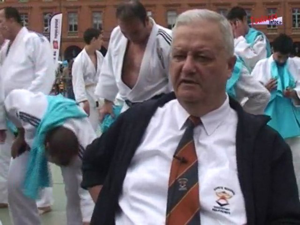 Handisport en fête à Toulouse
