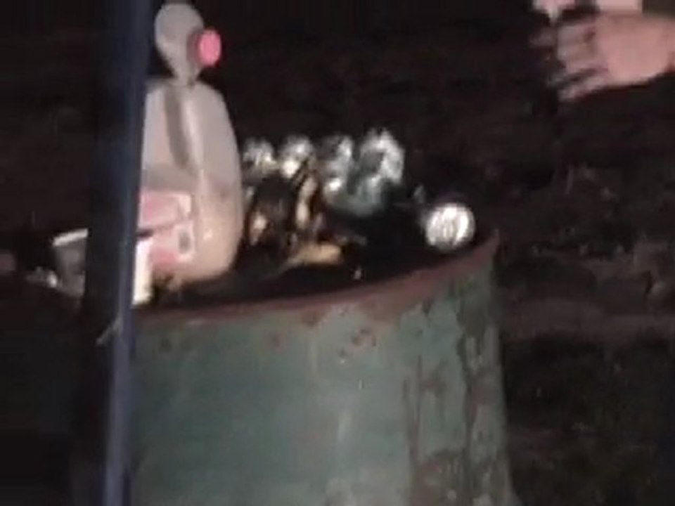 Skunked Beer