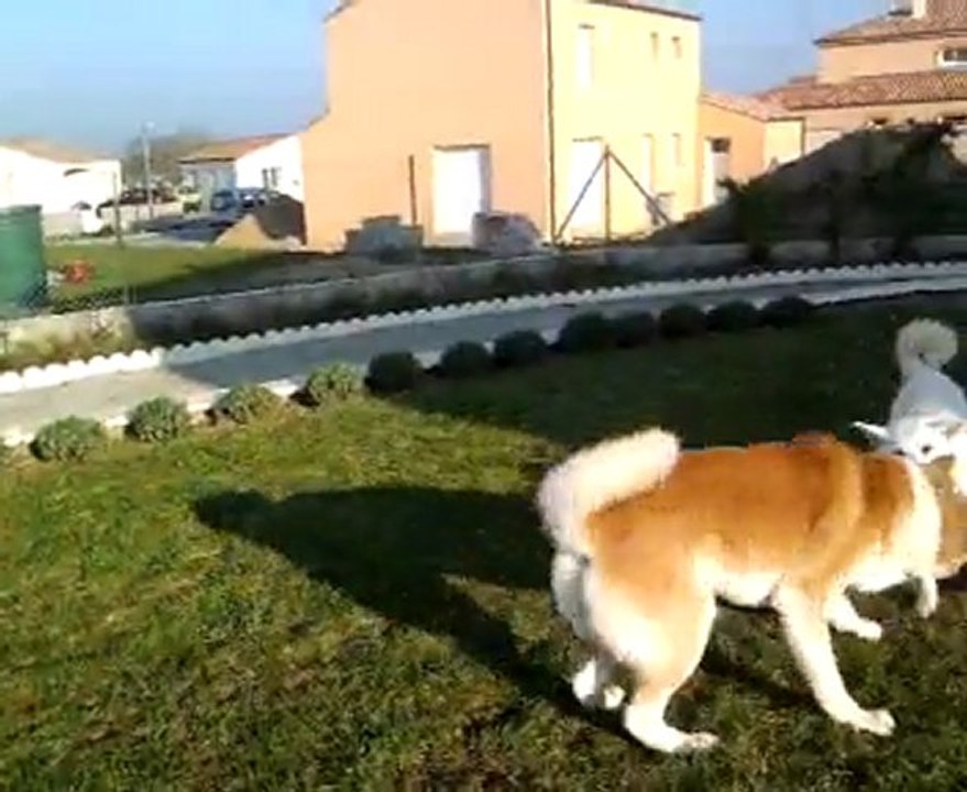 2010-04-12-09-SUMO DU MATIN