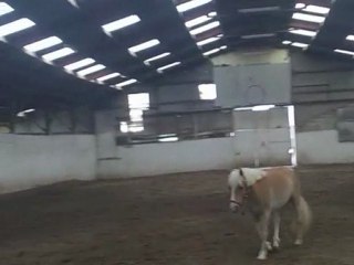 23 éme jours de vie de spirit