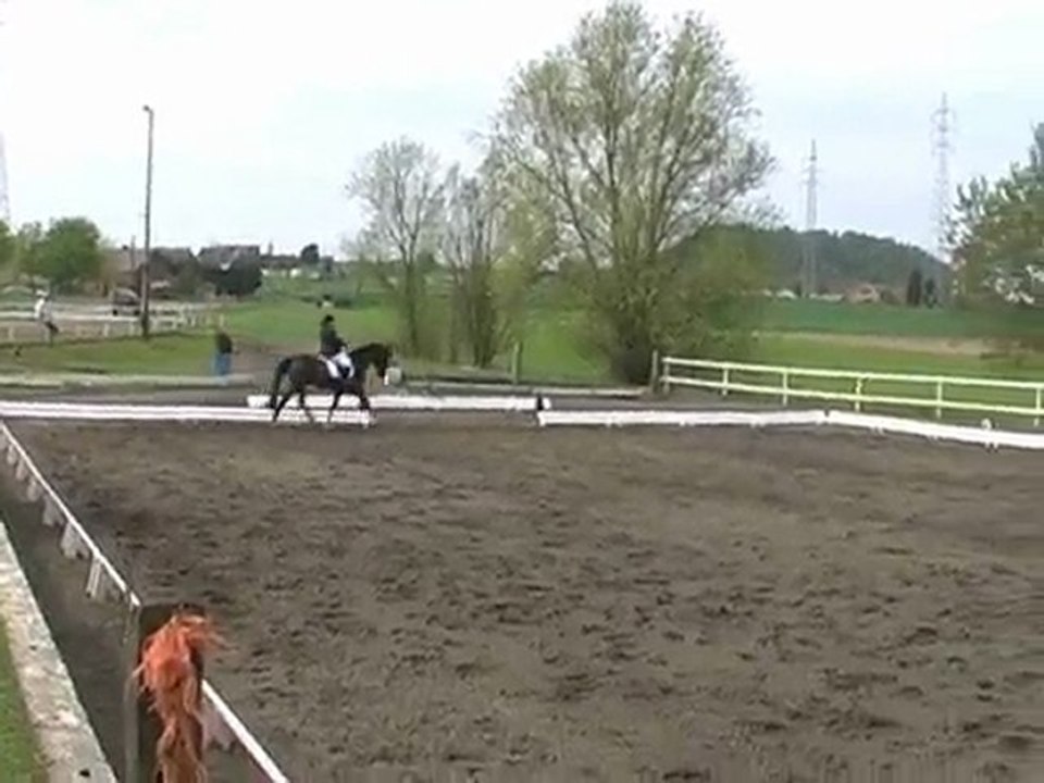 Roghoun d'Aulne E7 Péronnes 25 avril 2010